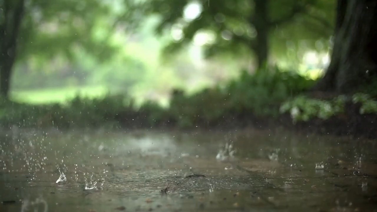 Pouring Rain Sounds for Sleeping Relaxing ASMR 3 Hours