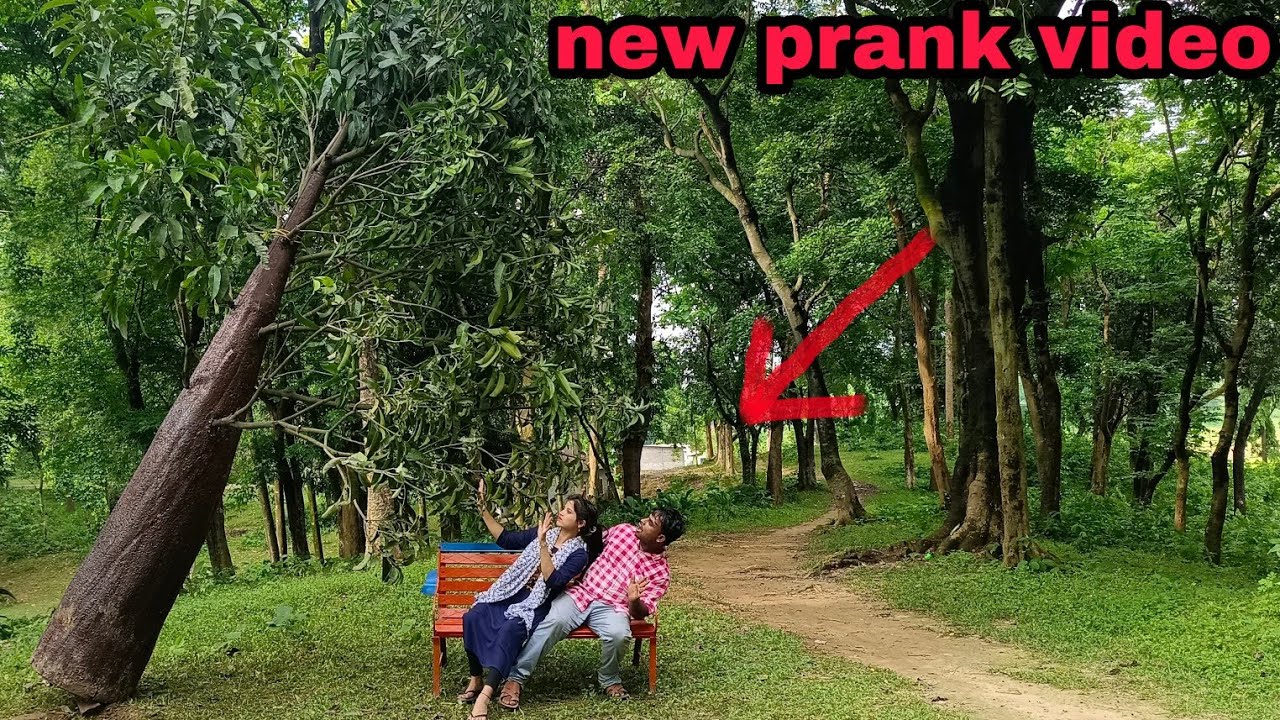😂😅NEW ARTIFICIAL TREE PRANK| PRANK WITH BALLS