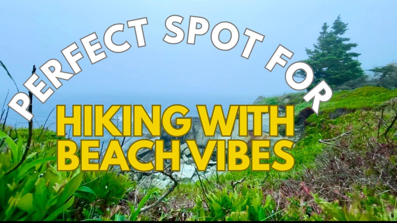 Taylor Head Provincial Park, Nova Scotia | Hiking Trail with Stunning views