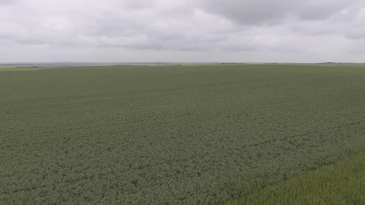 Weather challenges