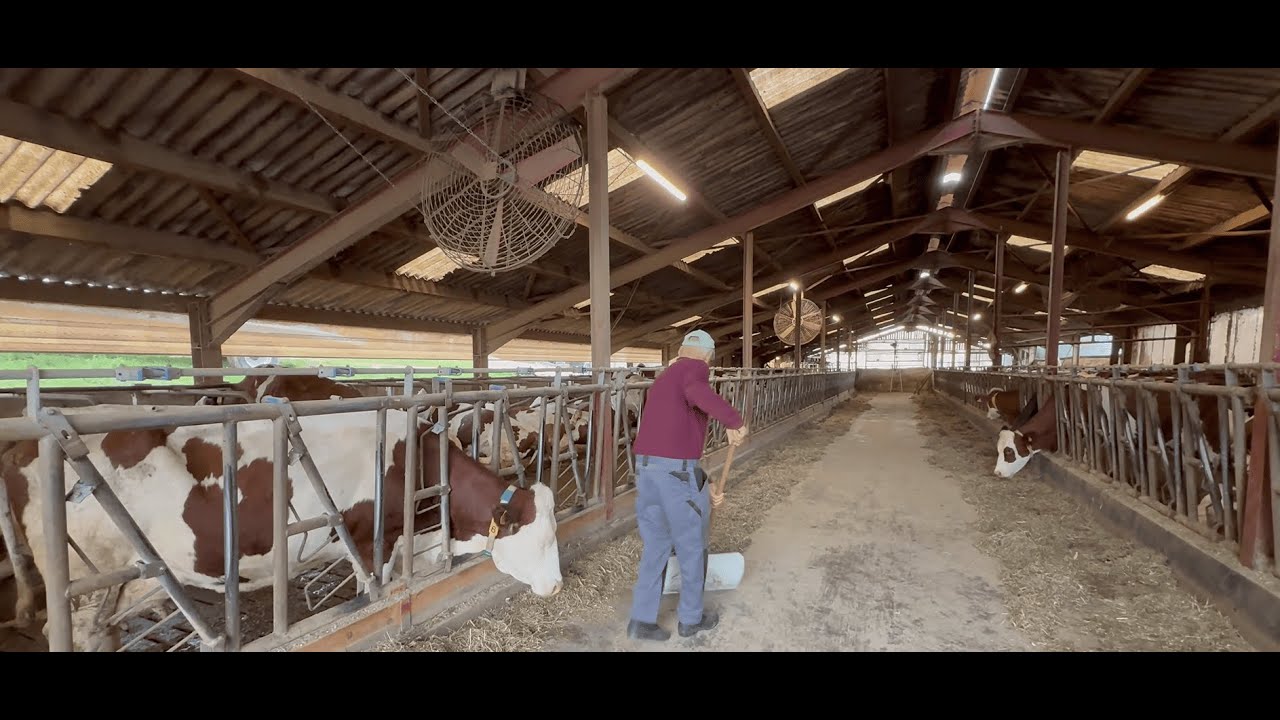 TIEA 2026 Contamine-sur-Arve - Elevage bovin et système d'élevage résilients