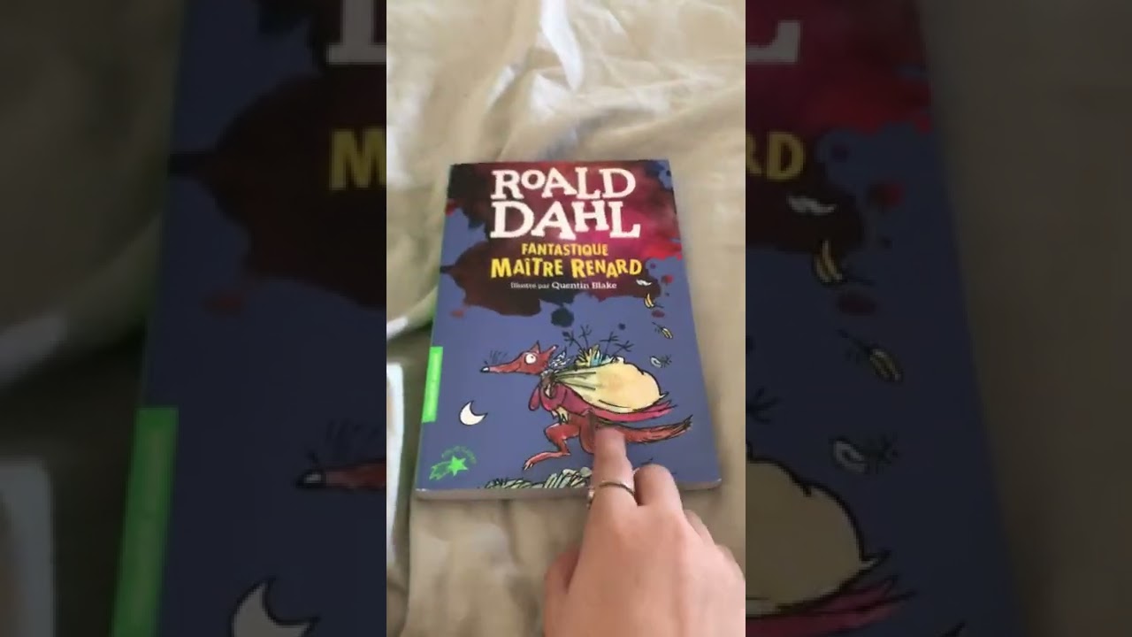 Presentation livre fantastique maître renard