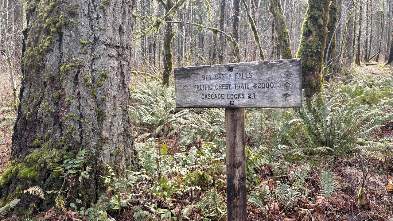 PCT Section G to Dry Creek Falls 03-14-2026 Oregon / Washington Border
