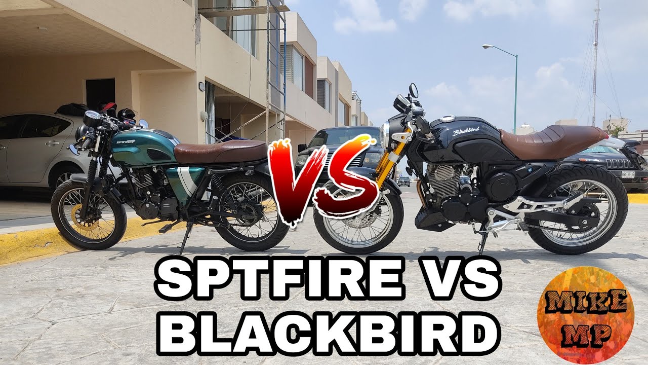 BLACKBIRD 250 VS SPTFIRE 200|BATALLA DE LAS CAFE RACER DE ITALIKA|¿Cuál te quedas tú?