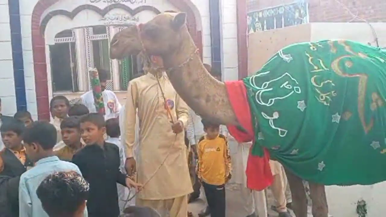 12 ربیع الاول جلوس 2
