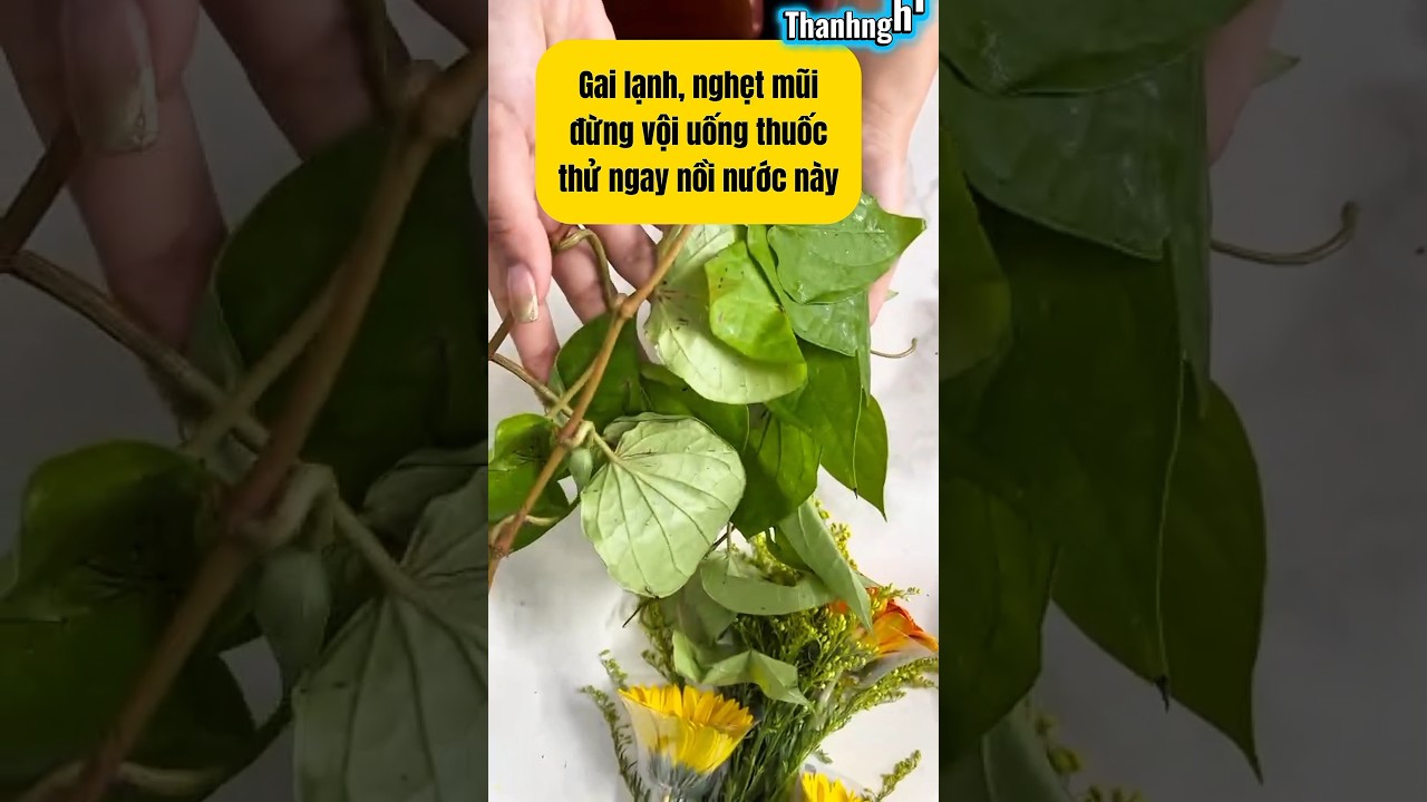 Gai lạnh, nghẹt mũi, đừng vội uống thuốc, thử ngay nước n&agrave;y #videoviral #fyp #trends #thanhnghi #meo