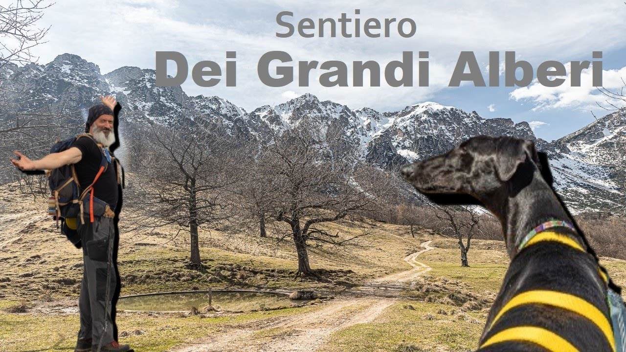 01/04/2025 Sentiero dei Grandi Alberi a Recoaro GLI AMICI DEL CAREGA