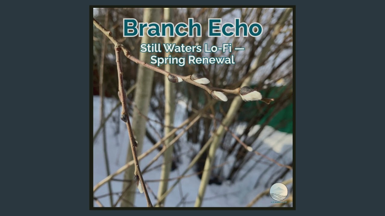 Branch Echo &mdash; Still Waters Lo-Fi &mdash; Spring Renewal