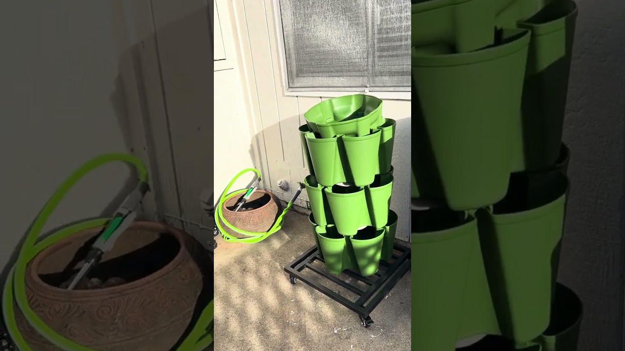 Where is the sun on my patio?