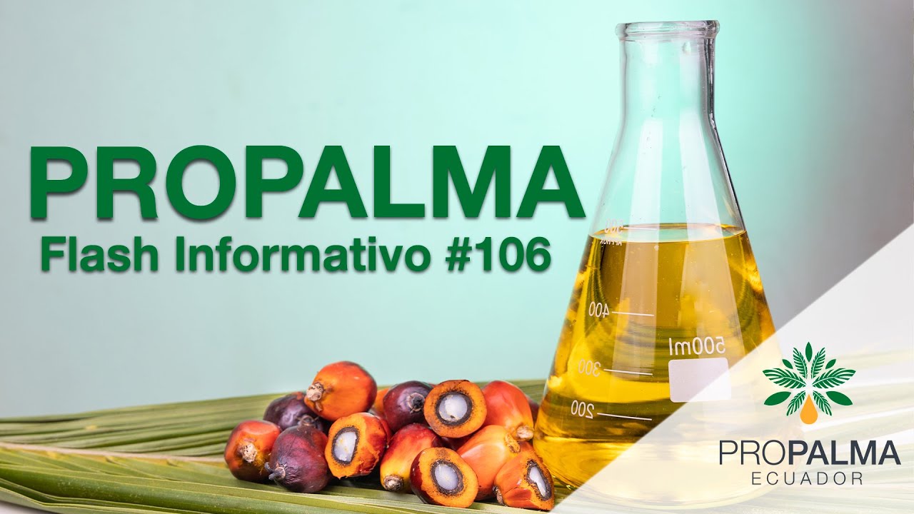Flash Informativo #106 - Propalma
