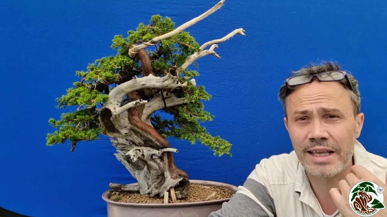 La nostra Demo istruttori Arcobonsai 2022.