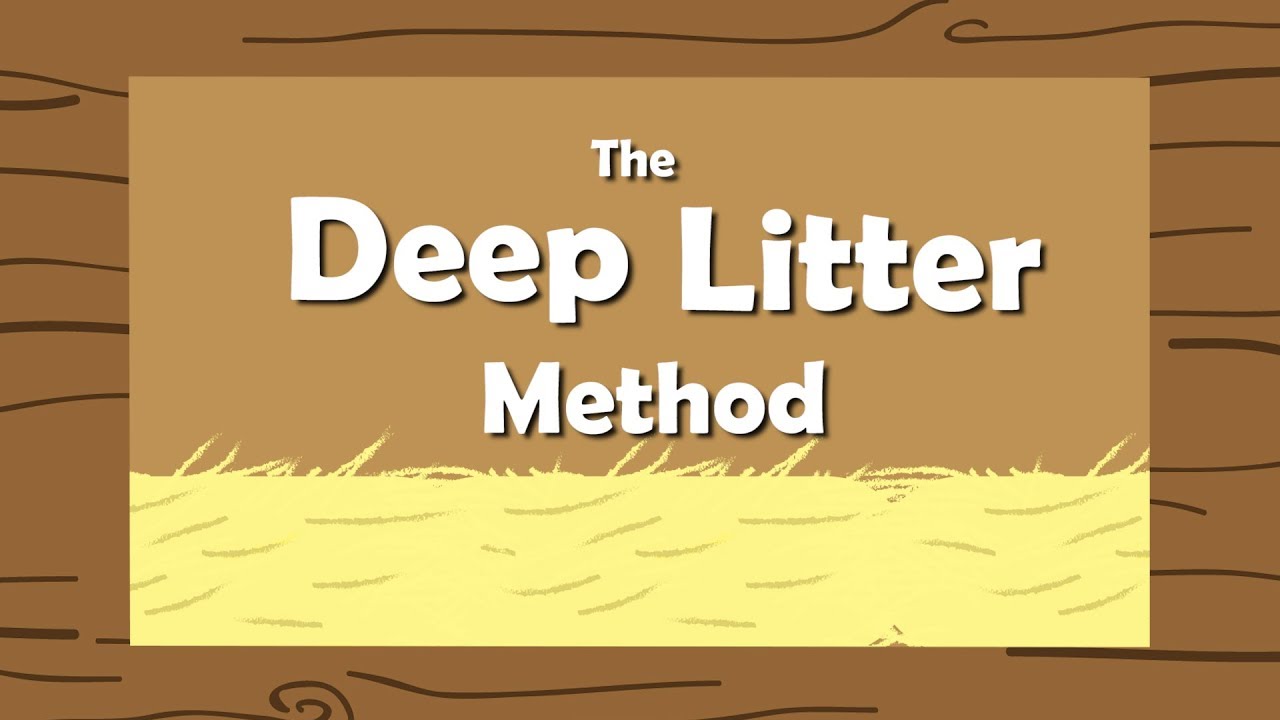The Deep Litter Method for your Chicken Coop