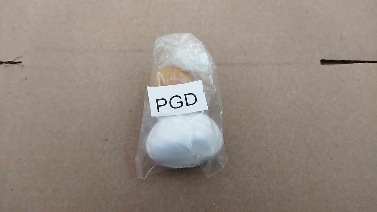 PGD brand wooden oil spreader for Dosa tawa pan
