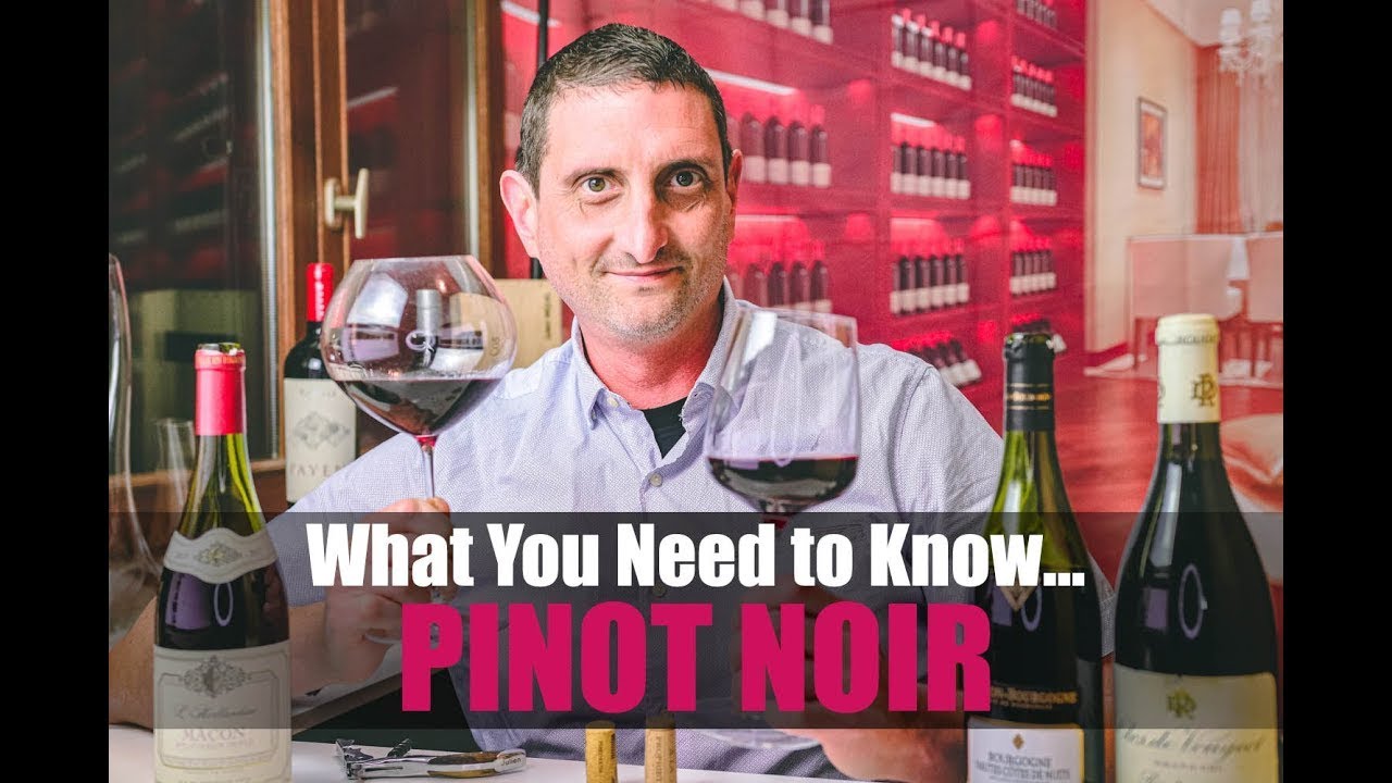 History of Pinot Noir: Origins, Taste & Best Pinot Noir Wines