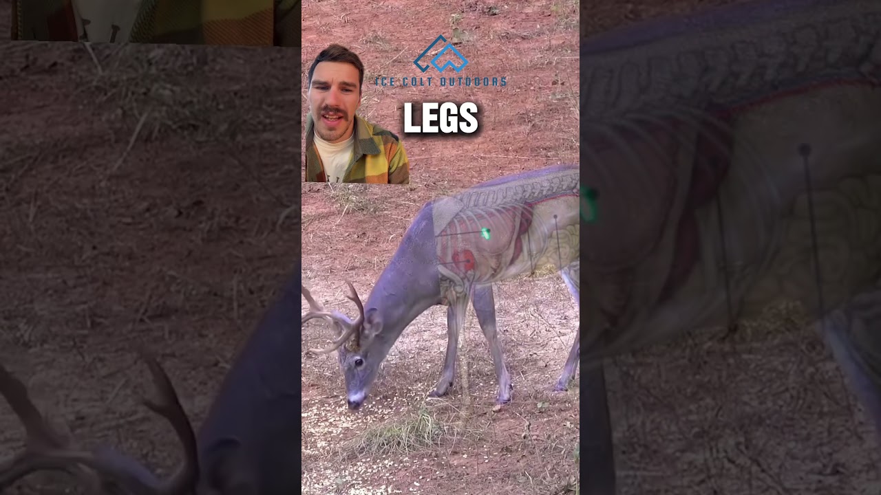 Молодец, @HuntClubwithPhillipCulpepper, ты его прикончил! 