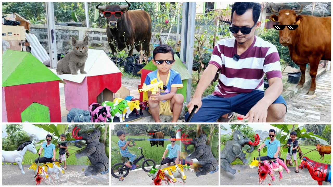 NICE...! DRAMA WADIDAU ‼️PROSES POTONG SAPI MOO KURBAN IDUL ADHA