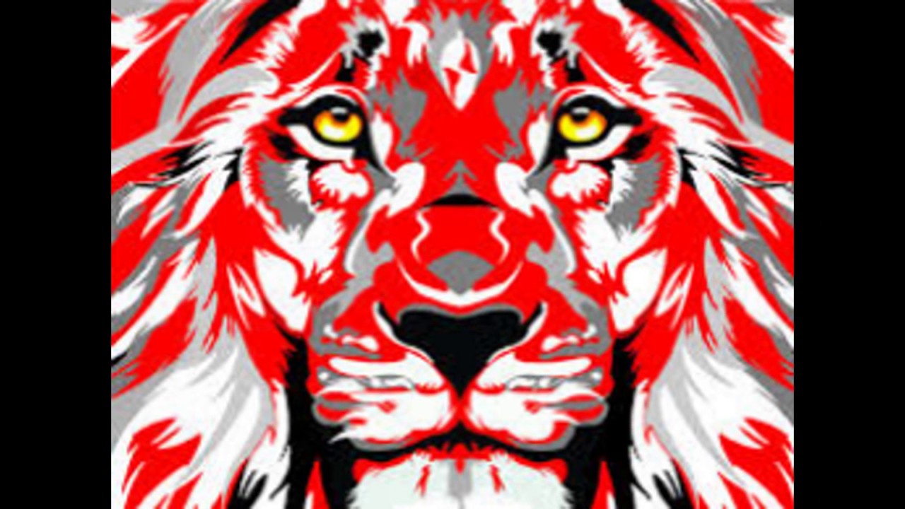 TIPOS DE LEONES ROJOS