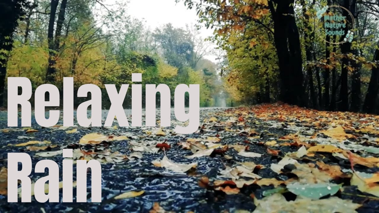 Raining - Rain on Road - Leaves, Trees and Raining - Raining Sound #rainingvideos
