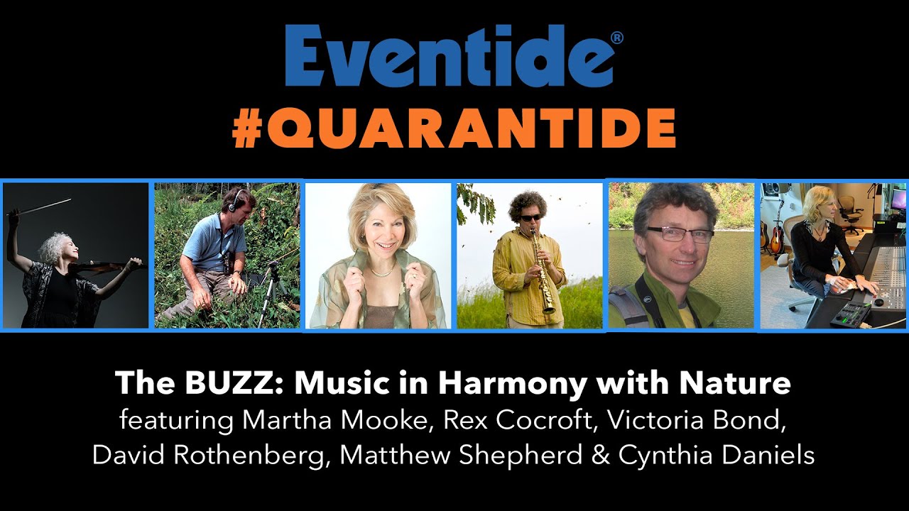 The BUZZ: Music in Harmony with Nature &ndash; Live on #Quarantide