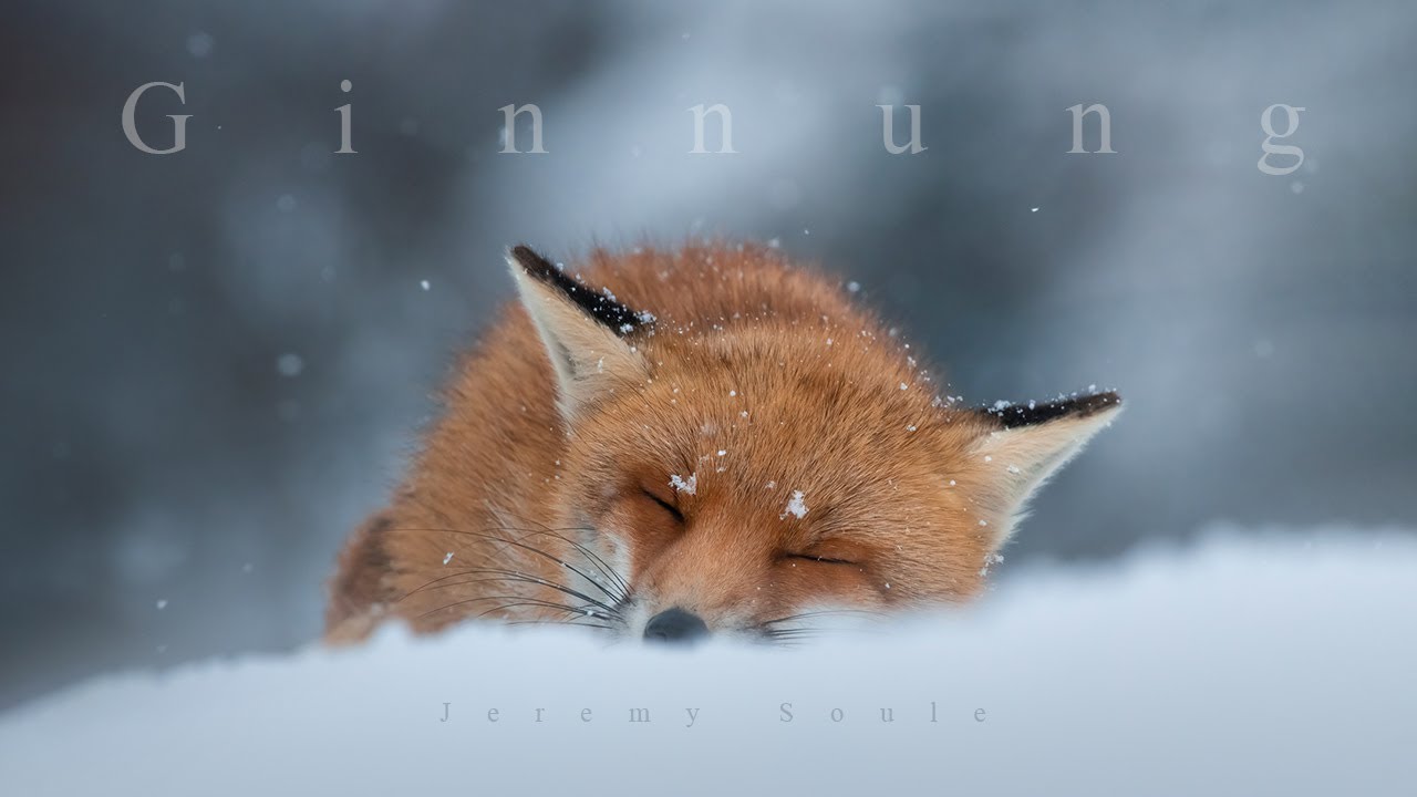 Jeremy Soule (Northerner Diaries) &mdash; &ldquo;Ginnung&rdquo; [Heavy Winter Ambience]