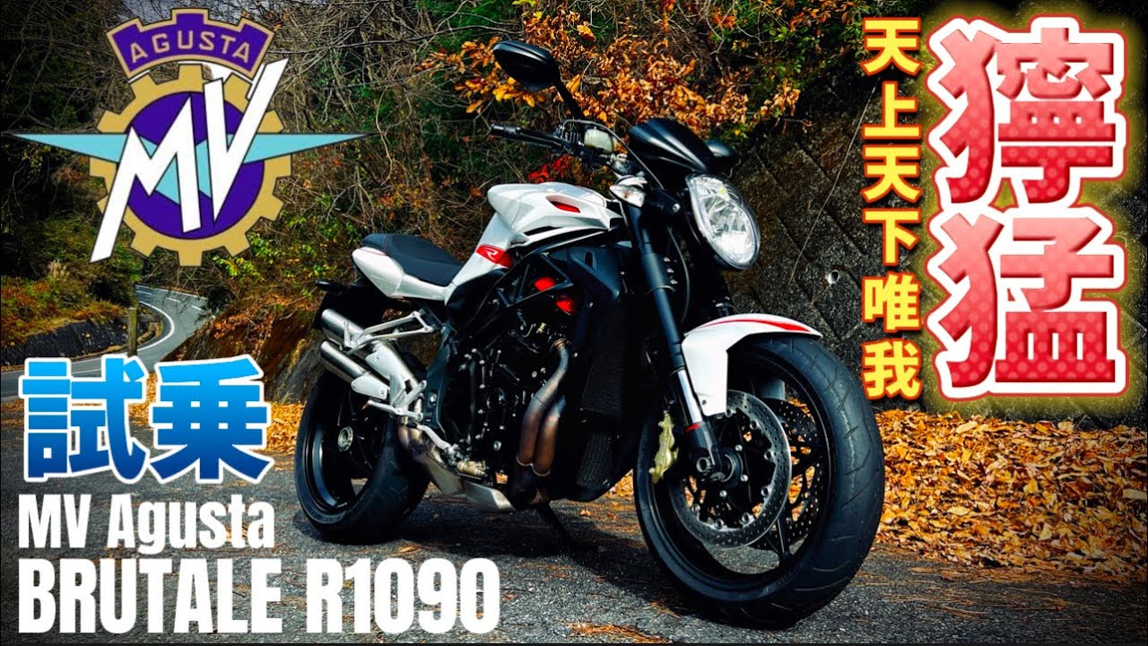 【試乗】MVアグスタは走る宝石？野蛮な獣やないかーい！ブルターレR1090