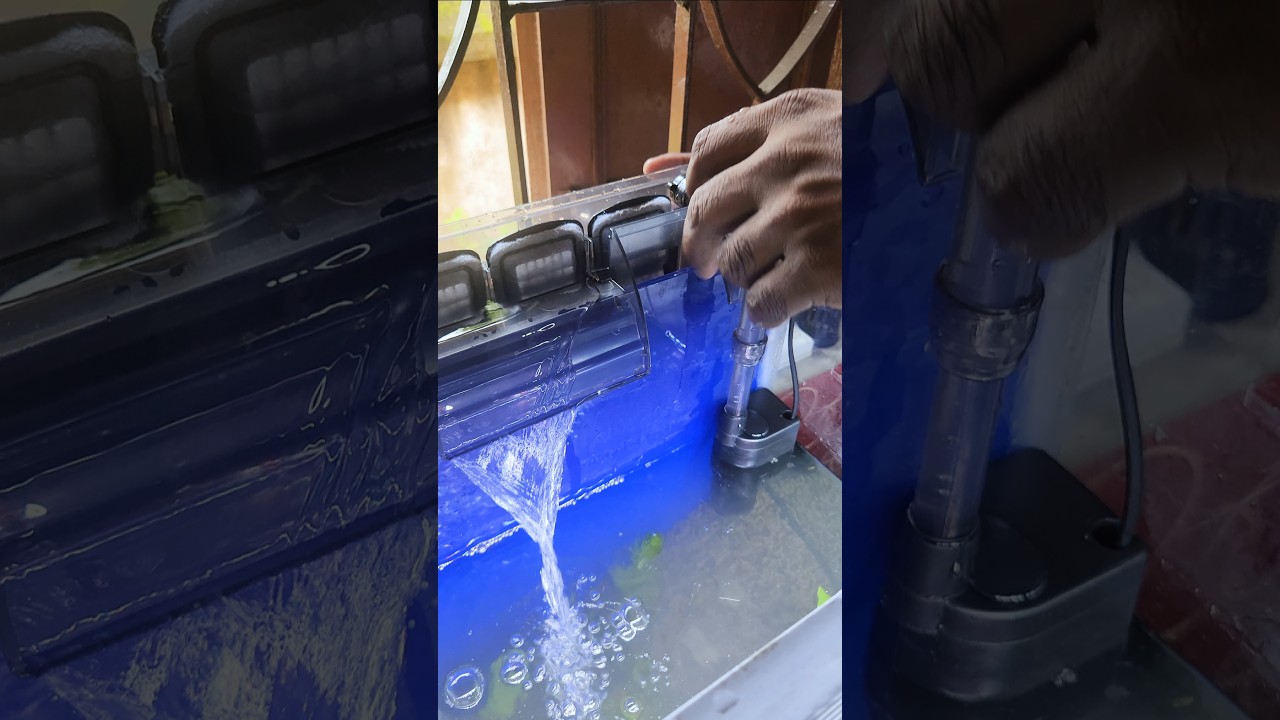 💧 Aquarium Water Filter Review – Crystal Clear Water in Minutes
