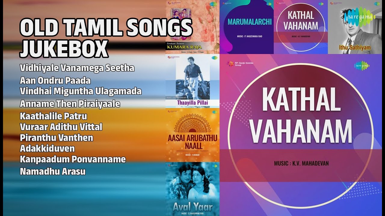 பொற்காலப் பாடல்கள் | M.S.Ramarao Songs | Vidhiyale Vanamega Seetha | Aan Ondru Paada