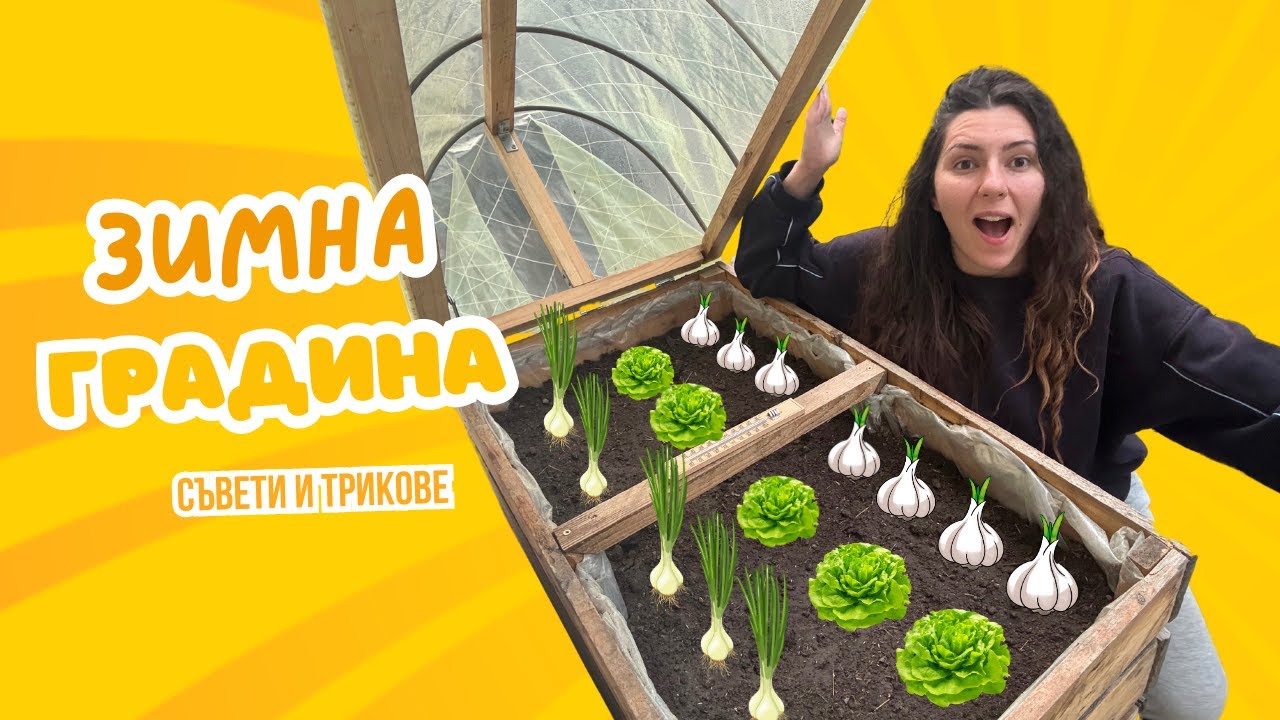 Какво да засадим през есента? Свежи зеленчуци, дори през зимата! 🥬 #градина