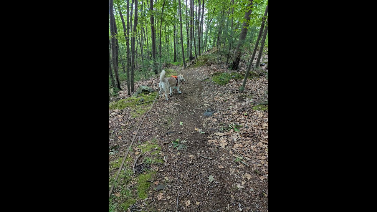 Trail Etiquette: How to kindly pass hikers on trail. Watch until the end!