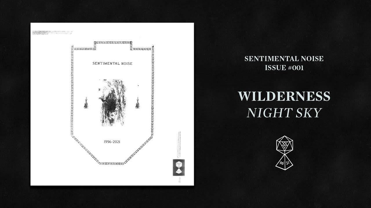 Wilderness - Night Sky (Official Audio)