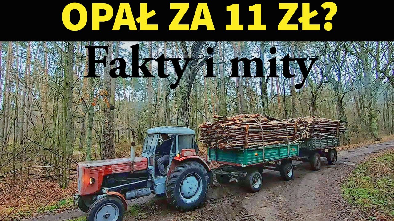 TANI OPAŁ?  || Fakty i mity na temat samowyrobu drewna || KONKURS!!! ||  Okiem ZULa