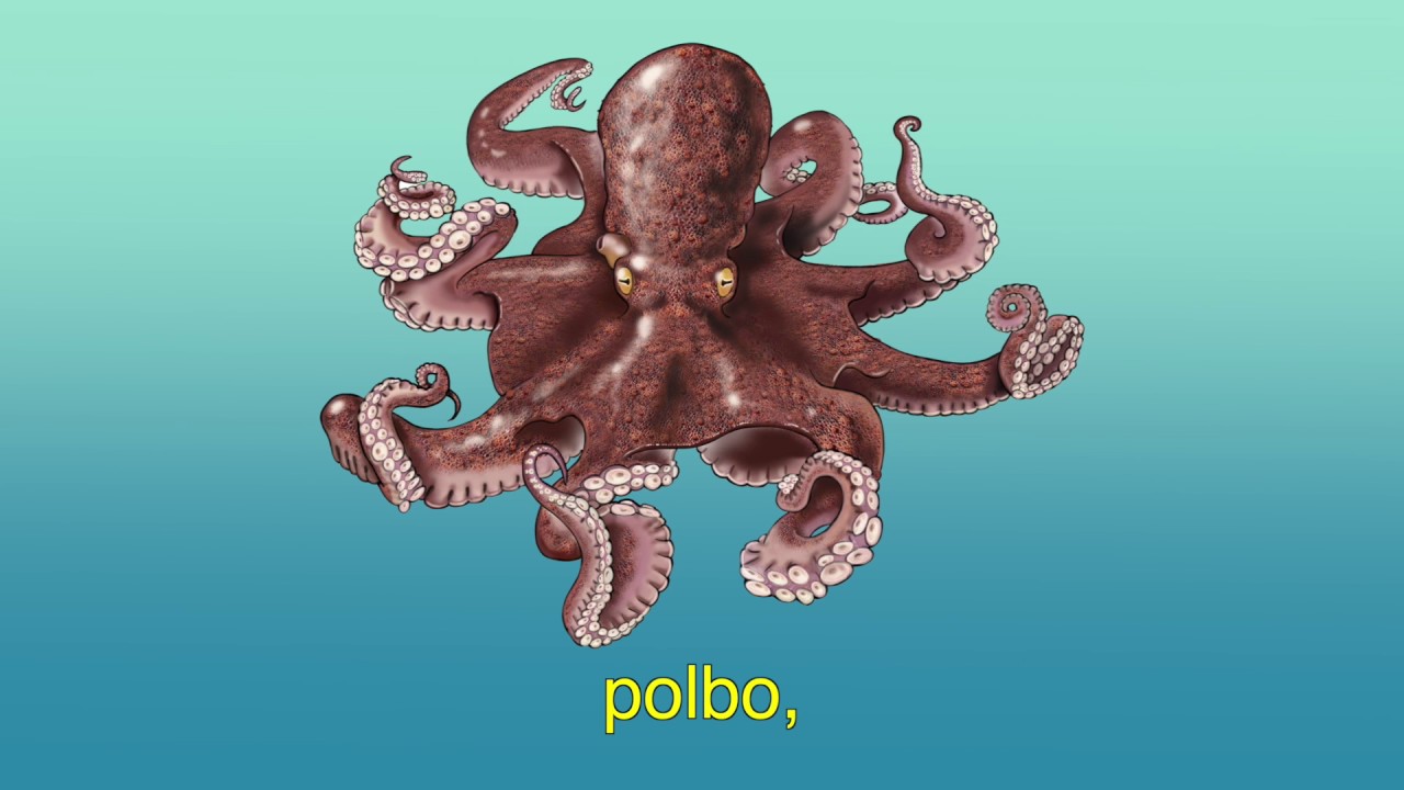 Peixi&ntilde;os do mar