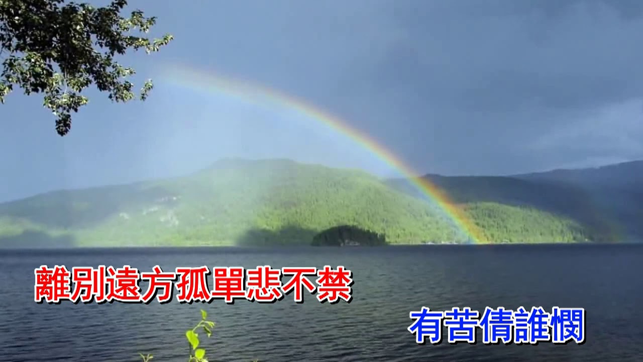 麗莎 鴛鴦江月夜