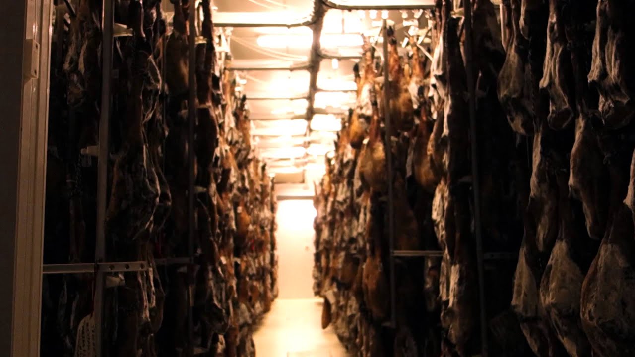Come nasce un prosciutto Beher??