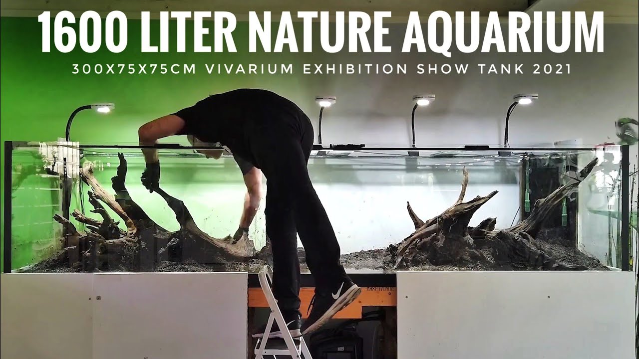 1600 liter Vivarium Show Tank - Step by Step - Esther's Garden 2021