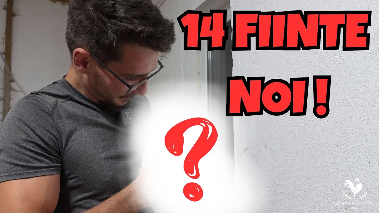 AM ADUS 14 ANIMALUTE NOI IN FERMA!
