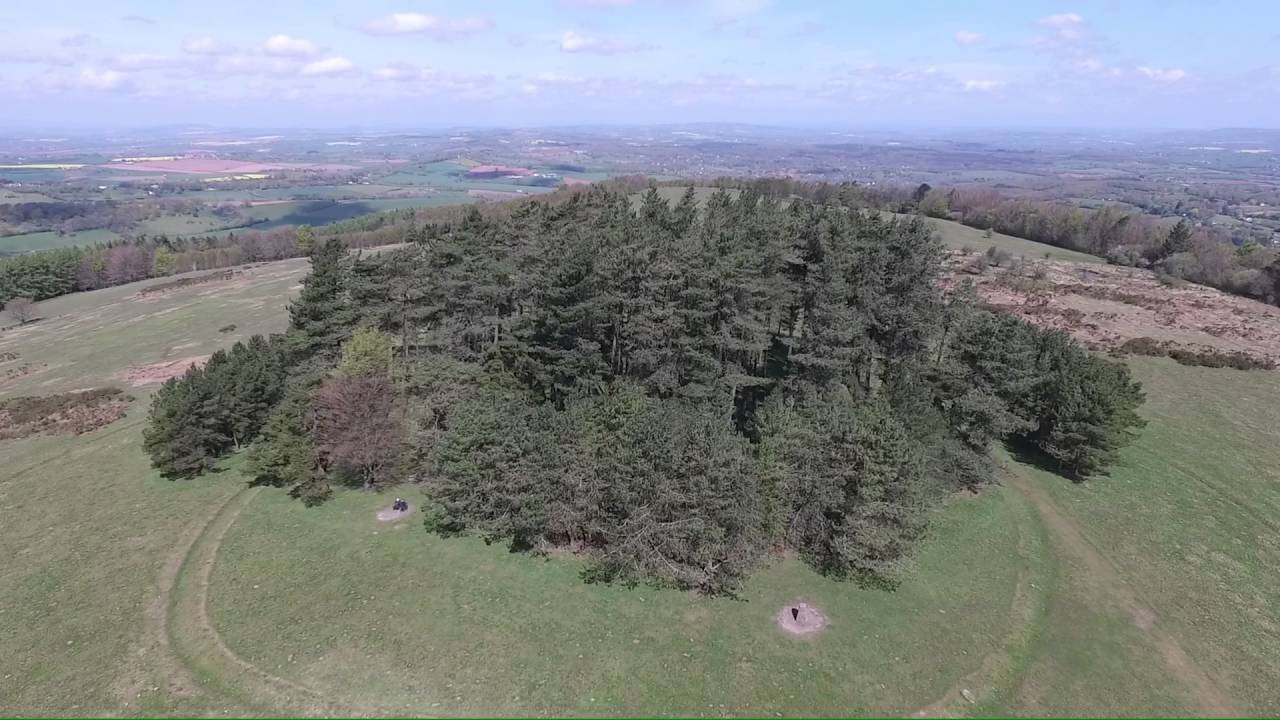 Above the trees at May Hill