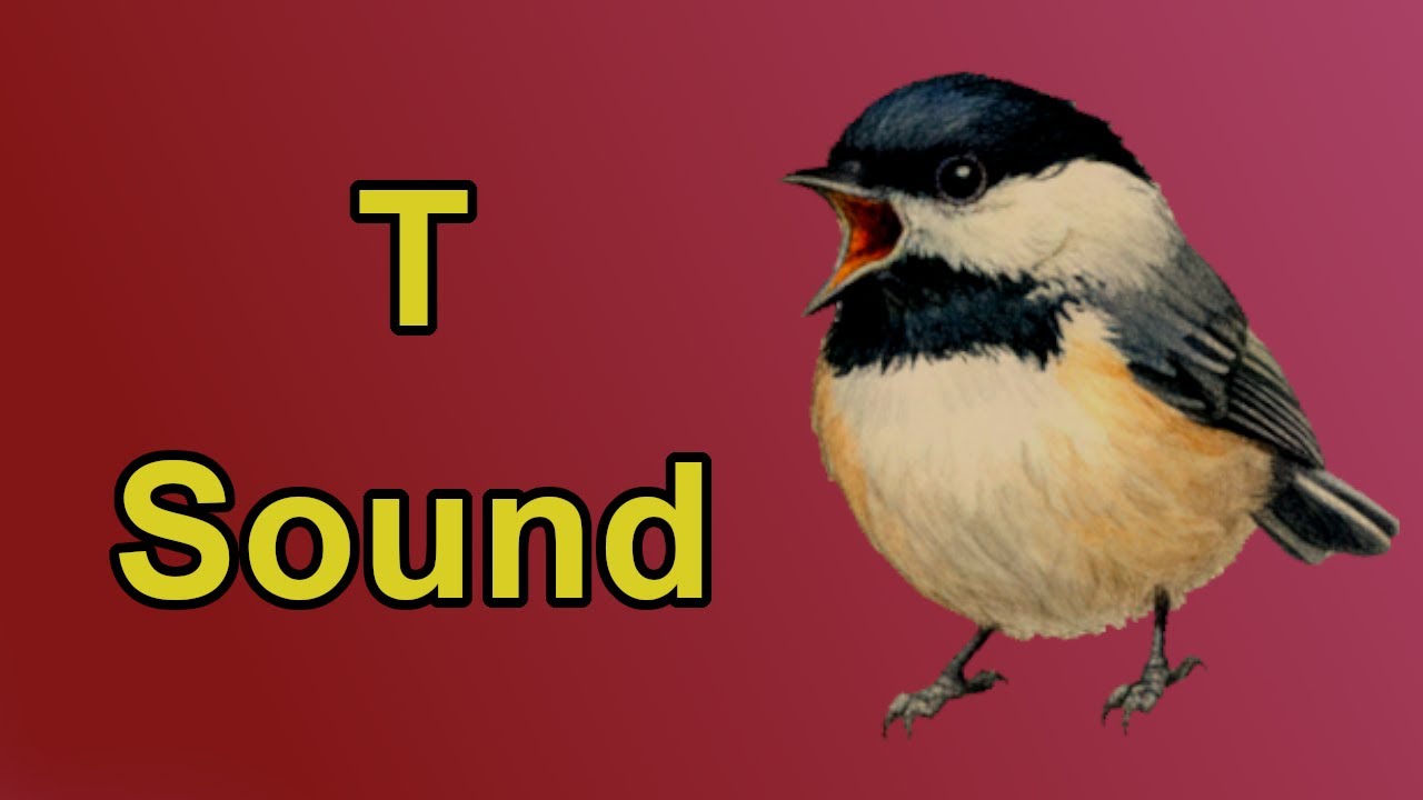The T Sound Sonnet | Phonemic Awareness Poetry