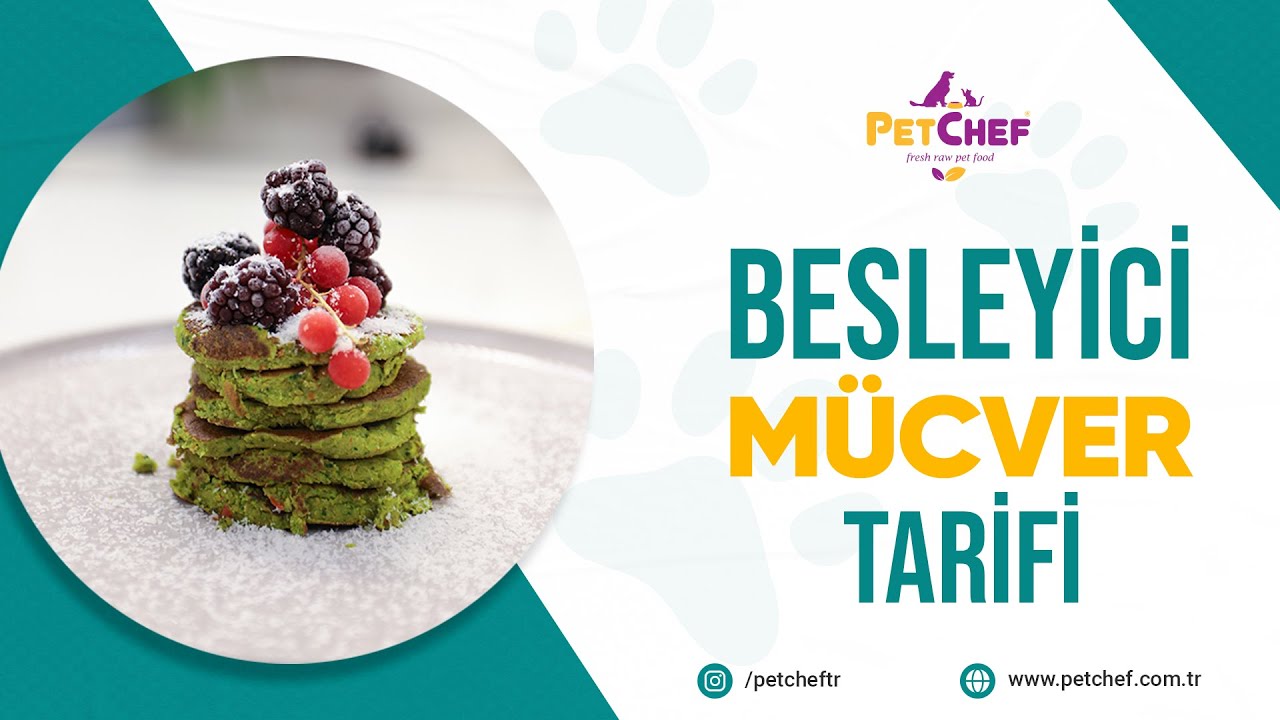 🐾 Rafet Şef’ten Patili Dostlara Özel Mücver Tarifi! 🥞
