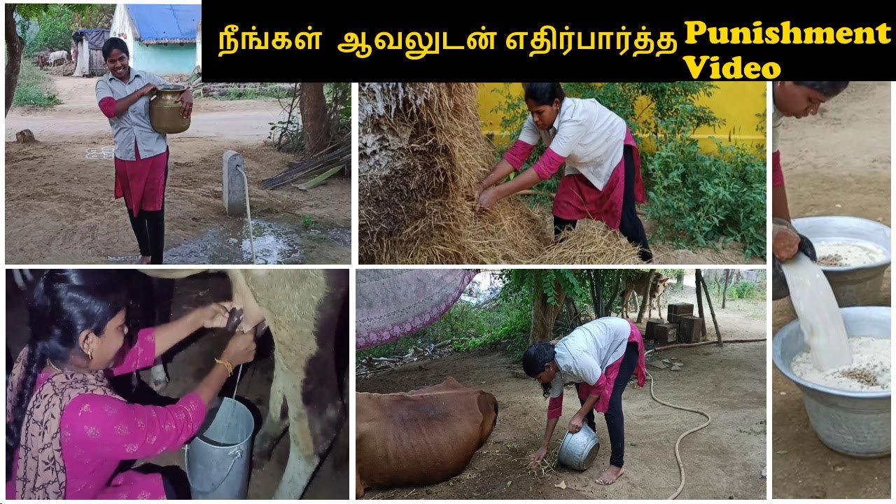 Most Requested Punishment Video | Parotta Eating Challenge Punishment | Village Morning Routine