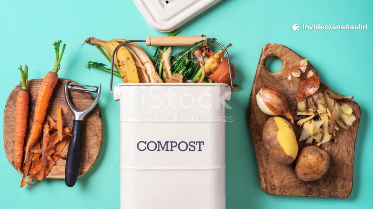 Five Small Habits for Sustainable Living