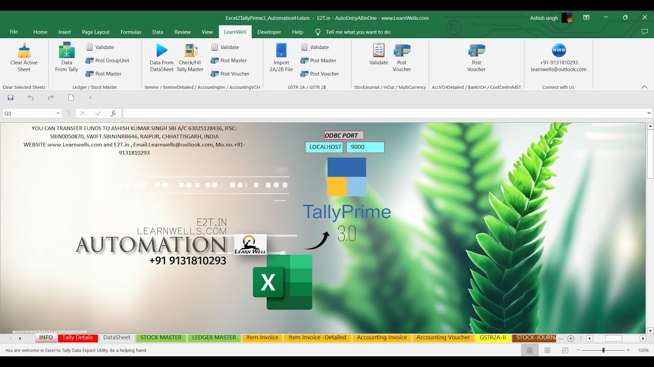 Excel to TallyPrime 3.0 Import Automation - All in One @LearnWell