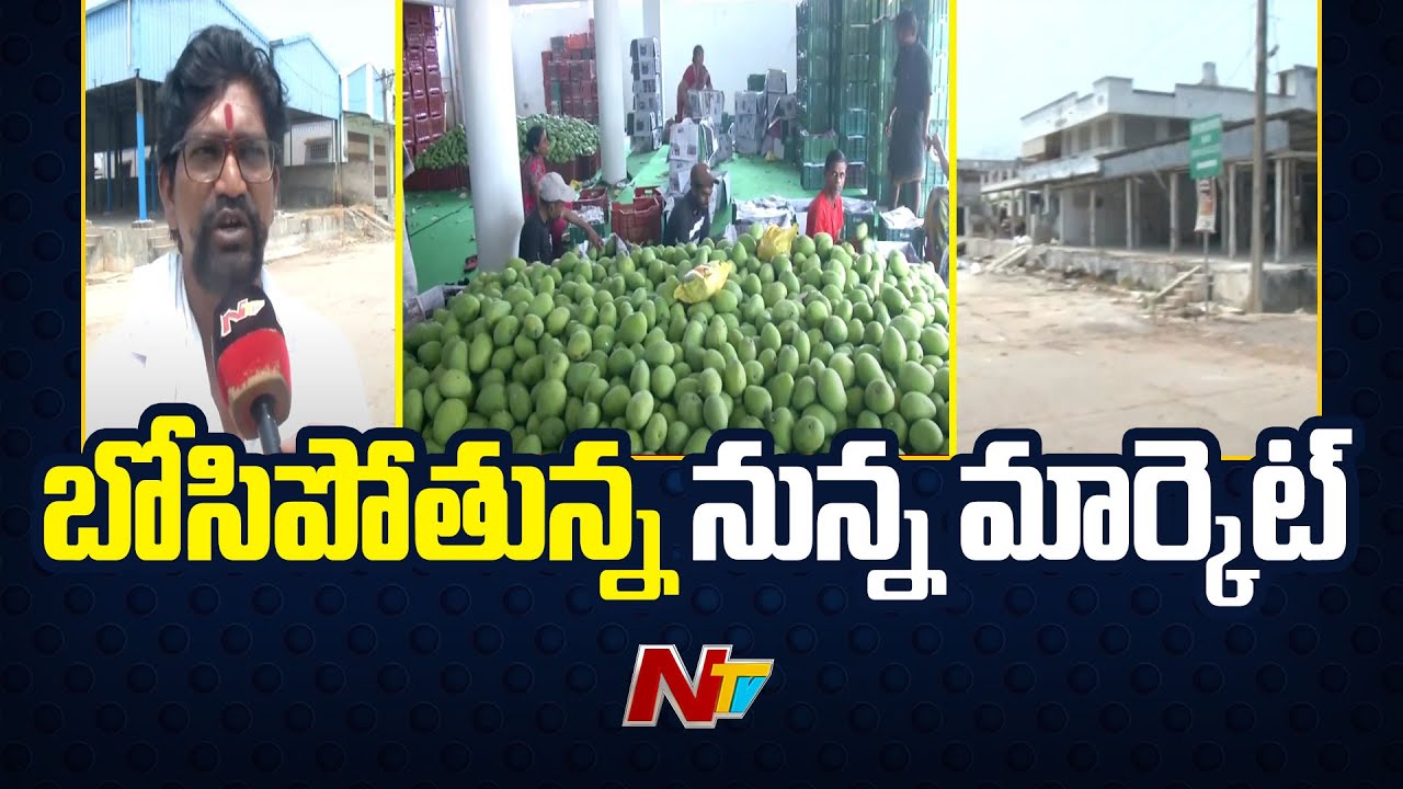 బోసిపోతున్న నున్న మార్కెట్ | Nunna Mango Market | Ntv