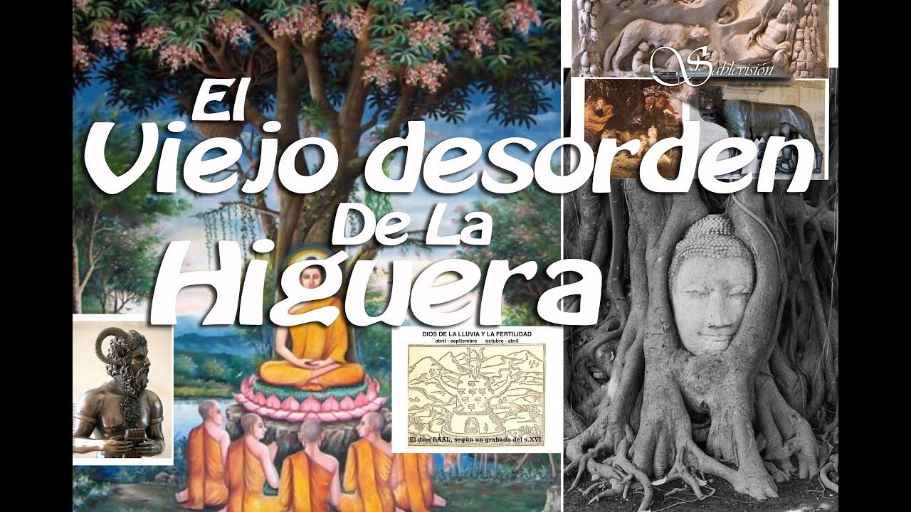 TR 06 El viejo desorden de la higuera