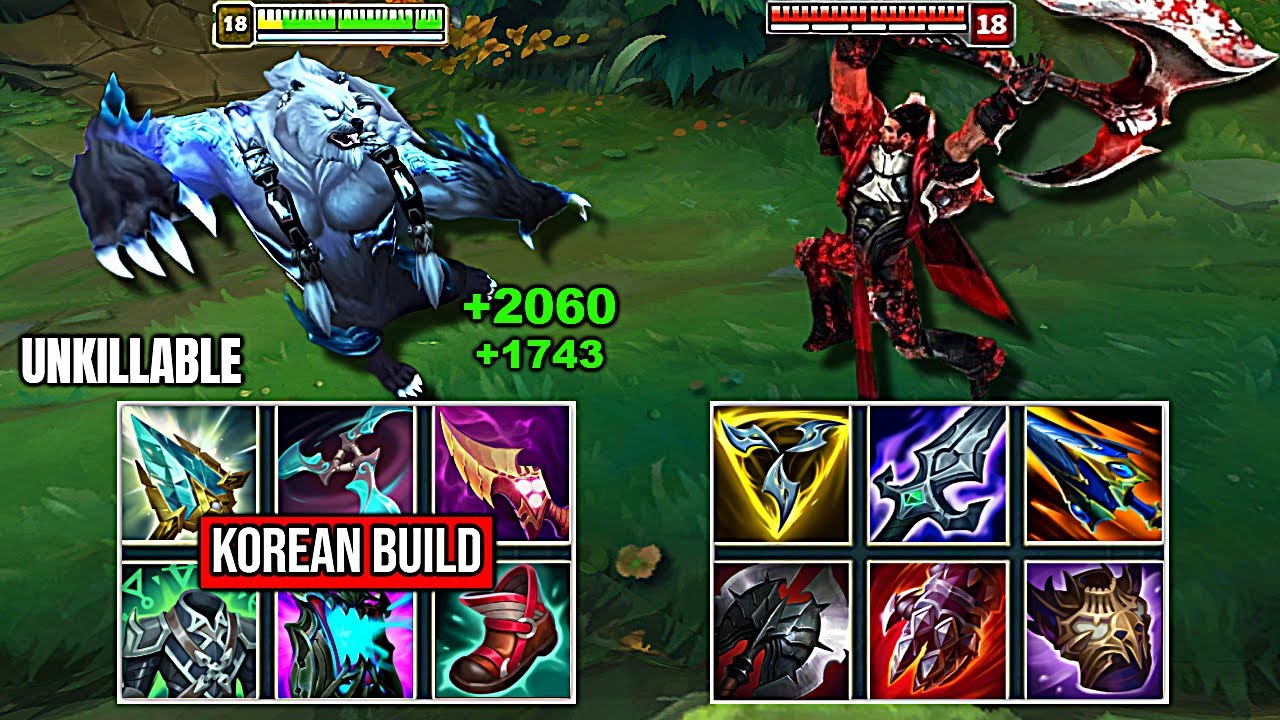 NEW KOREAN VOLIBAER vs DARIUS FULL BUILD FIGHTS & Best Moments!