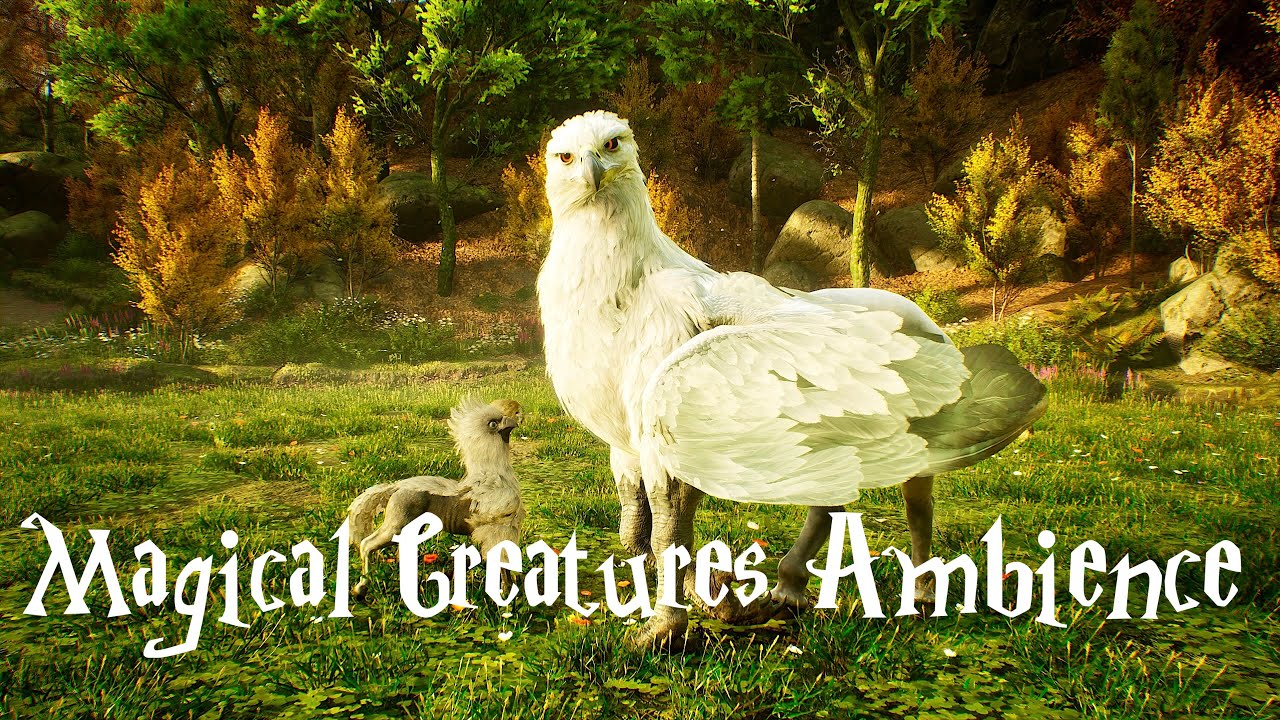 Peaceful Magical Creatures Ambience | Hogwarts Legacy