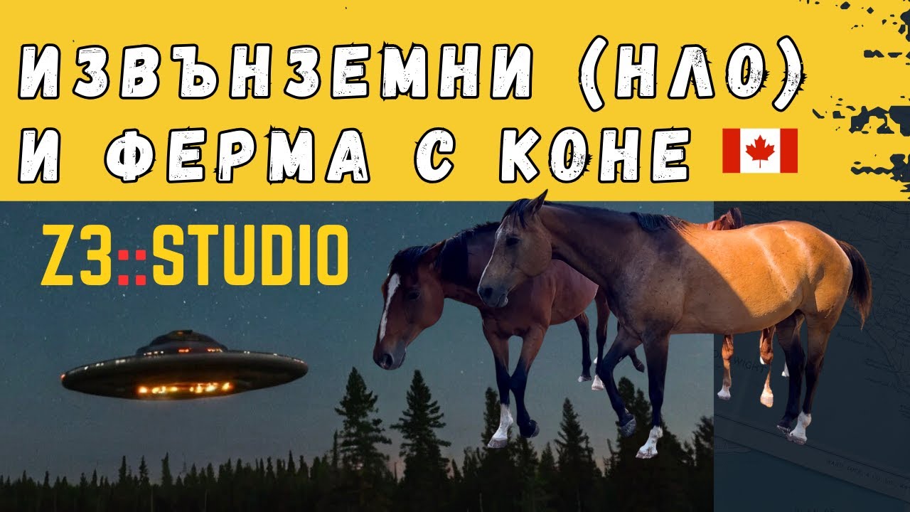 Извънземни НЛО, Ферма с коне и ще срещнем ли мечка в гората - Z3Studio VLOG