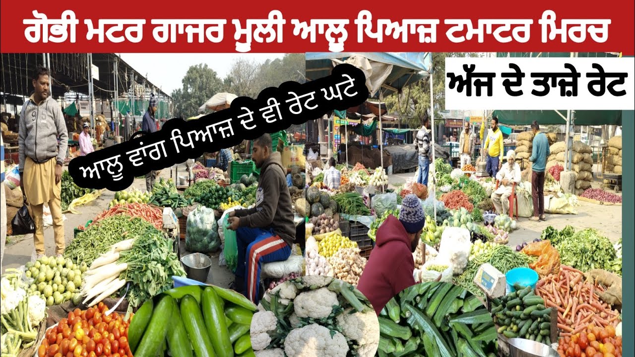 Market price in Punjab 24-2-2026