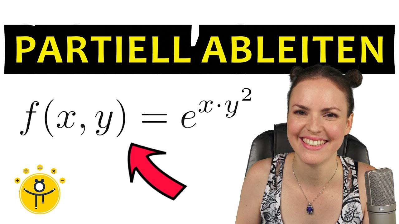 Partielle Ableitung e Funktion – mehrdimensionale Analysis, Kettenregel, Produktregel