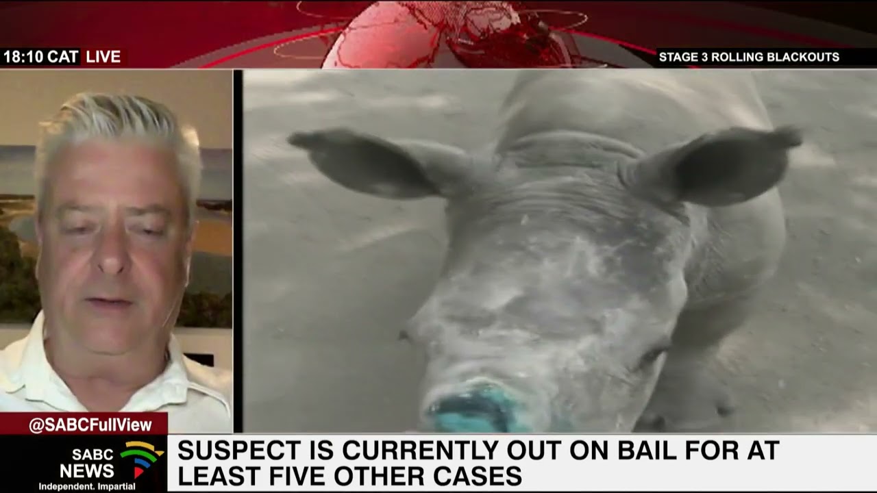 Suspected rhino poaching kingpin nabbed